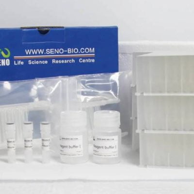 Pre-processing of bacterial sample genomic DNA extraction 96 Samples