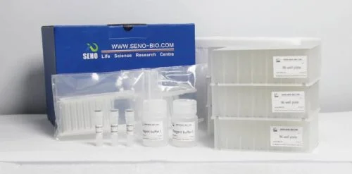 Pre-processing of bacterial sample genomic DNA extraction 96 Samples