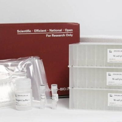 Pre-processing of DNA extraction from animal tissue 48 Samples