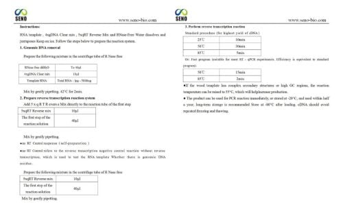 Rapid cDNA First Strand Synthesis Kit