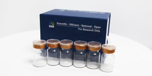 SENO Hotstart DNA Polymerase Wholesale MOQ 1000 units