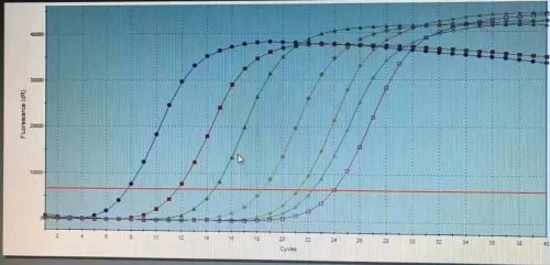 SENO Hotstart DNA Polymerase Wholesale MOQ 1000 units