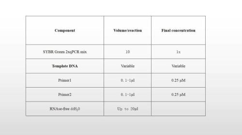 SYBR Green 2xqPCR Mix