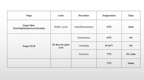 SYBR Green 2xqPCR Mix