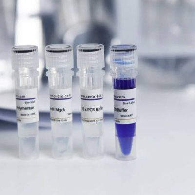 Taq DNA Polymerase and Taq PCR Kit