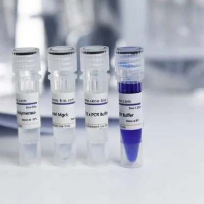 Taq DNA Polymerase and Taq PCR Kit