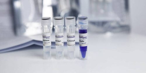 Taq DNA Polymerase and Taq PCR Kit