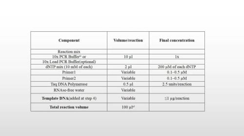 Taq DNA Polymerase and Taq PCR Kit