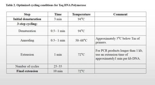 Taq DNA Polymerase and Taq PCR Kit