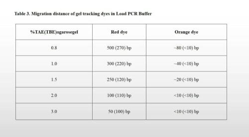 Taq DNA Polymerase and Taq PCR Kit