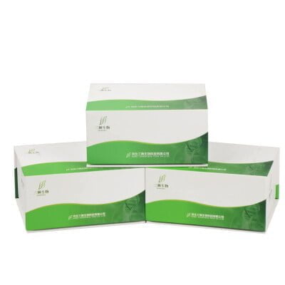 Kit universal de amplificación cuantitativa de ADN fluorescente (Método de sonda PCR)