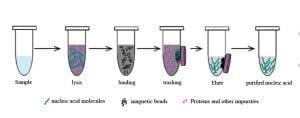 DNA purification Column Method