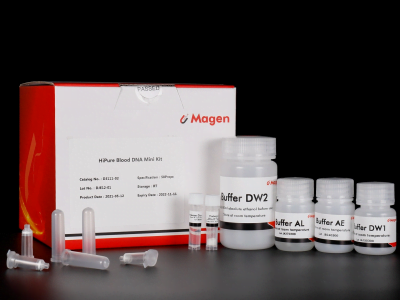 Mini kit HiPure per il DNA del sangue