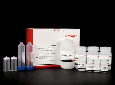 HiPure-Gewebe&Blood DNA Maxi Kit