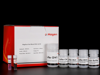 Kit MagPure Fast Blood DNA