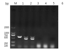 PCR specific results