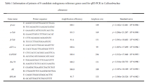 Research on Selection of Reference Genes for Real-Time Fluorescent Quantitative PCR in Cowpea Weevils