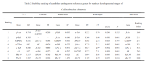 Research on Selection of Reference Genes for Real-Time Fluorescent Quantitative PCR in Cowpea Weevils