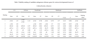 Research on Selection of Reference Genes for Real-Time Fluorescent Quantitative PCR in Cowpea Weevils