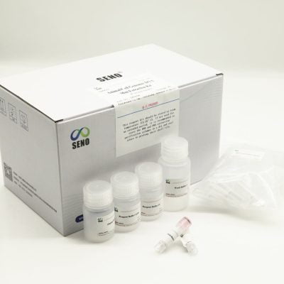 Kit Ekstraksi Mini DNA Genomik Anima atau Sel