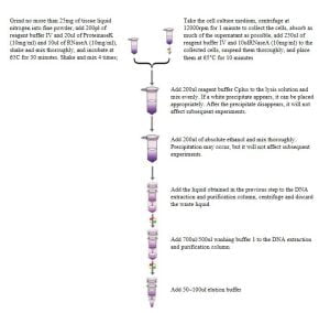 Animal/Cell Genomic DNA Mini Extraction Kit