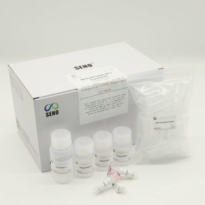 Kit per l'estrazione del DNA del genoma batterico