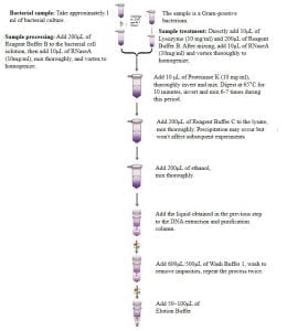 Bacterial Genome DNA Extraction Kit