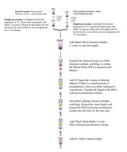 박테리아 총 RNA (...을 더한) 추출 키트