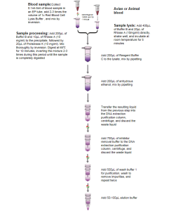 Kit de extracción de ADN genómico en sangre