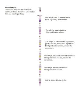 Blood Total RNA Extraction Kit (Genomic DNA Removal)