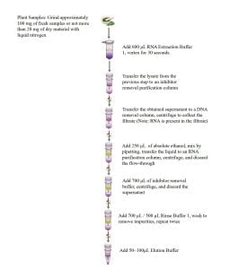 Complex Plant Total RNA (加) Small Amount Extraction Reagent Kit