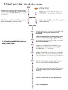 Mitochondrial Genome DNA Extraction Kit (for Animals)