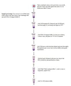 Oral Swab Genomic DNA Extraction Kit