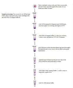 Kit d'extraction d'ADN génomique par écouvillon oral