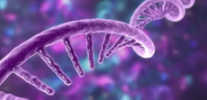 RNase PCR specific results