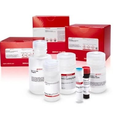 Solarbio Lacate Dehydrogenase(LDH) Activity Assay Kit