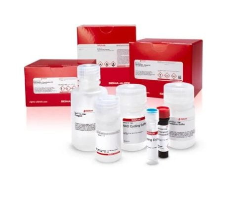 Solarbio Lacate Dehydrogenase(LDH) Activity Assay Kit