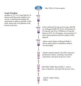 정자 샘플 DNA 추출 키트