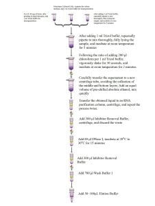 ชุดสกัด RNA ซุปเปอร์เพียว (ไตรโซล)