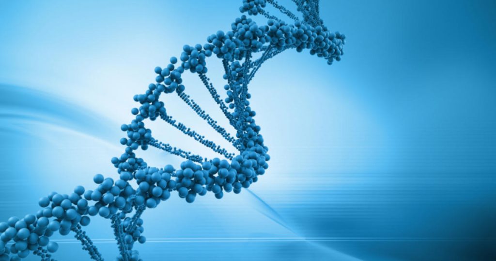 Conclusion Currently, gene expression studies mainly rely on qRT-PCR technology, commonly using reference genes to correct for errors introduced during sample detection. Earlier research generally assumed that housekeeping genes essential for maintaining cellular activities exhibit stable expression patterns under different conditions, being regarded as universal reference genes. However, with the advancement of high-throughput sequencing, more studies suggest that housekeeping genes are not always stable. Optimal reference genes often vary significantly among different species under different conditions. When studying the expression of target genes, using previously published reference genes without validation can lead to biased results. Hence, it's essential to reselect reference genes. In the case of the Cowpea weevil, it was found that the pairwise variation value Vn/n+1 in the GeNorm software's pairwise difference analysis was consistently less than the default value of 0.15 across different developmental stages and various tissues of adult weevils. Therefore, there is no need to include a third reference gene for data correction; the most suitable number of reference genes is two. Comprehensive assessment through △Ct, GeNorm, NormFinder, BestKeeper, and RefFinder online tool suggests using β-Act and β-Tub as internal reference genes for gene expression studies across different developmental stages of the Cowpea weevil. Similarly, for various tissues in adult weevils, β-Tub and α-Tub were recommended as internal reference genes. RPL40 was evaluated as relatively suitable for use as one of the internal reference genes in different tissues of adult Cowpea weevils. However, it appeared to be one of the least stable genes among different developmental stages of the weevils. ในทางกลับกัน, GAPDH showed the least stability in expression among different tissues of adult Cowpea weevils and was also unsuitable as a reference gene for gene expression studies in different developmental stages of the weevils. Similar results were observed in other Coleopteran insects such as Colaphellus bowringi and Sympiezomias velatus (Tan et al., 2015; Li et al., 2018). This study provides accurate and reliable internal reference genes for accurately analyzing gene expression levels in different developmental stages and various tissues of the Cowpea weeอย่างไรก็ตามng qRT-PCR. However, whether these findings apply to other experimental conditions requires further investigation. The expression of internal reference genes in the Cowpea weevil varies significantly under different experimental conditions. This study utilized five methods to evaluate the expression stability of eight candidate internal reference genes in different developmental stages and various tissues of the Cowpea weevil. The results suggest that GeNorm software calculated V2/3 gene pairwise difference values under different conditions, all of which were below the ดังนั้น of 0.15. Therefore, the optimal number of reference genes for studying relative gene expression is two. Specifically, for different developmental stages of the Cowpea weevil, it is recommended to use β-Act and β-Tub as internal reference genes. Meanwhile, for various tissues in adult weevils, β-Tub and α-Tub are recommended as internal reference genes.