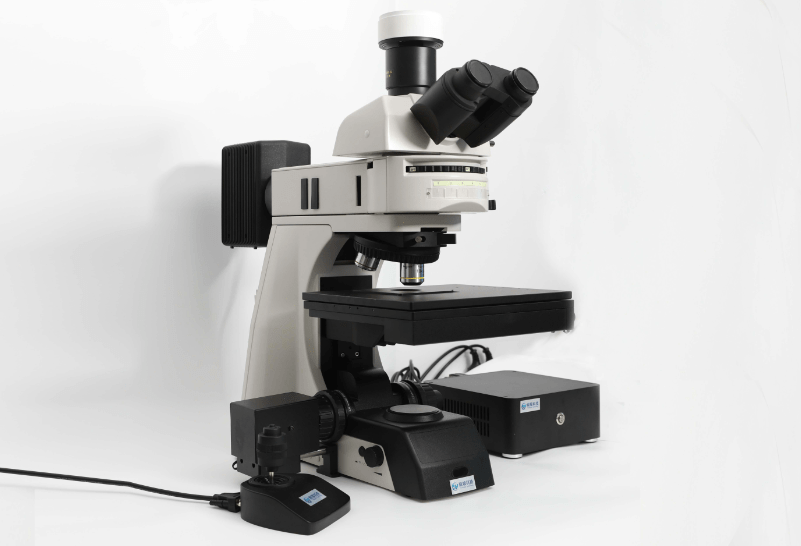 what-are-the-differences-between-light-and-electron-microscope