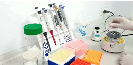 什麼是 PCR 預混液