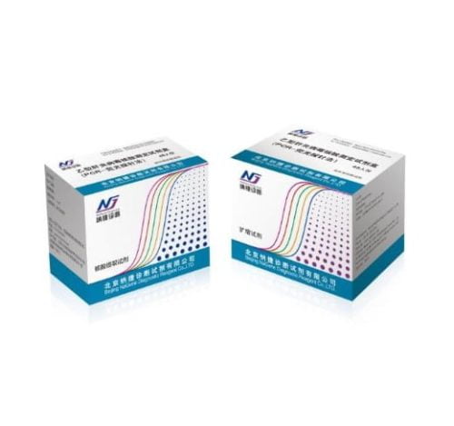 Hepatitis B Virus Nucleic Acid Assay Kit (PCR-Fluorescent Probe Method)