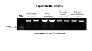 Small Amounts of DNA from Novel Plant Genomes Extraction Kit 