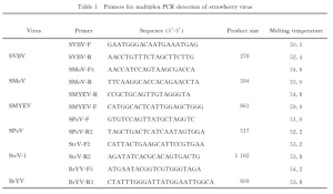 Simultaneous Detection and Identification of Six Viruses in Strawberries Using Multiplex PCR Assay