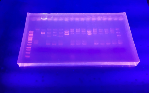 What is Agarose