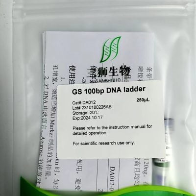 GS 100bp DNA 사다리