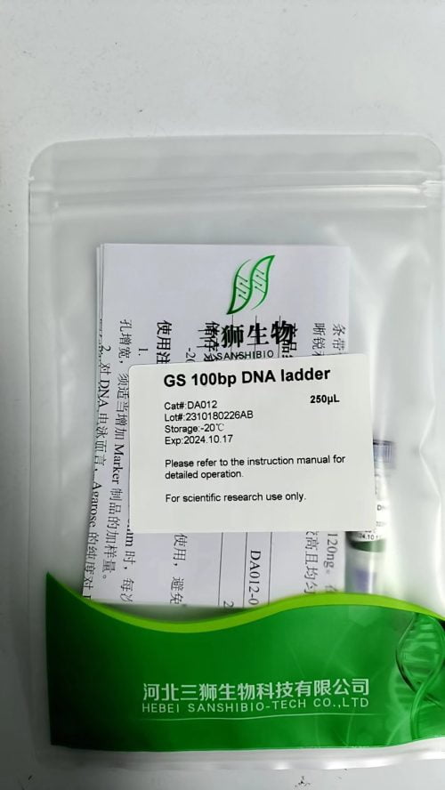 GS 100bp DNA ladder