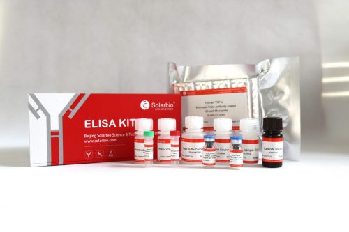 Human Cystatin E M Elisa Kit