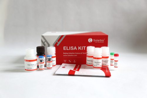 Human Cystatin E M Elisa Kit